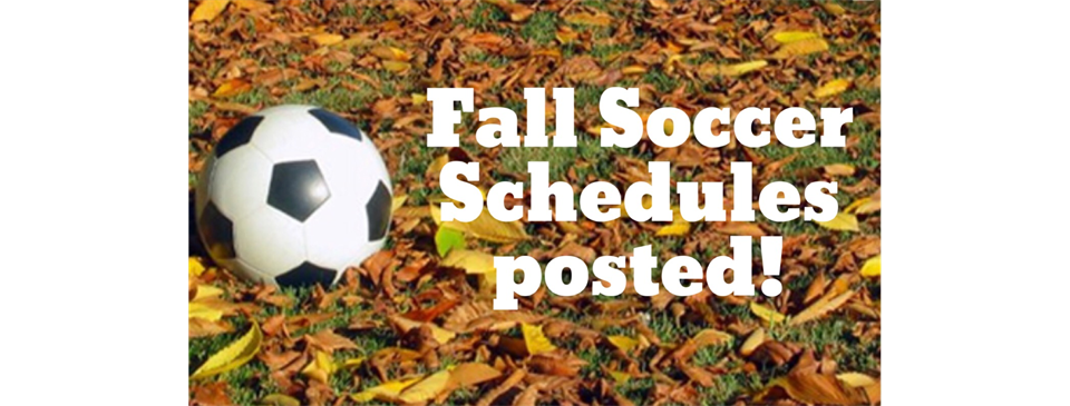 Fall Schedules